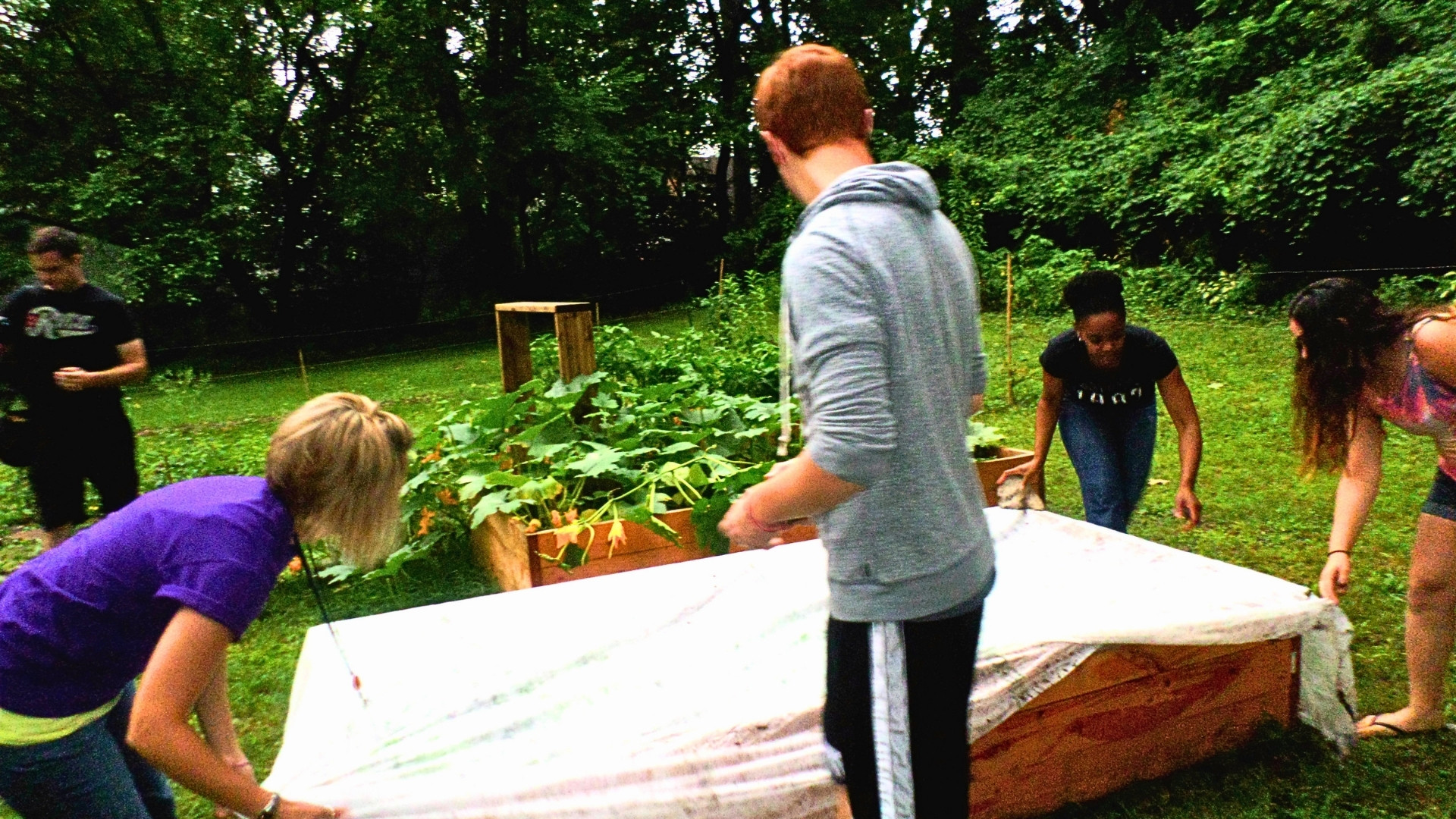 Community garden — Detroit